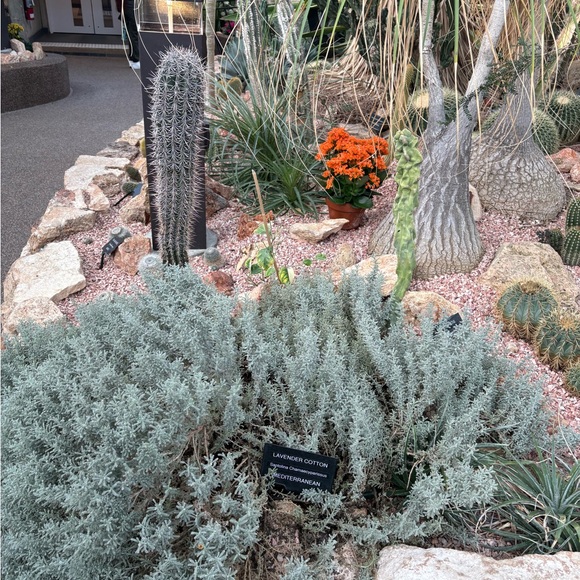 Meet your Posher, Sally - Picture 1 of 1